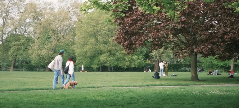 People taking a walk in Lynchburg park.