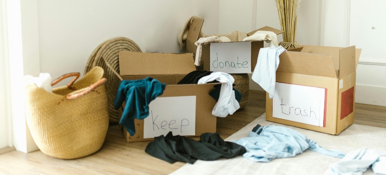 Assortment of Items on Carton Boxes