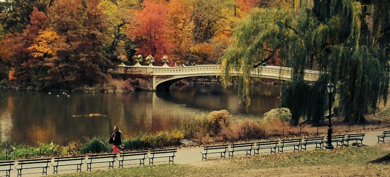 Scenic river walk, showcasing the city's natural beauty and ideal living environment